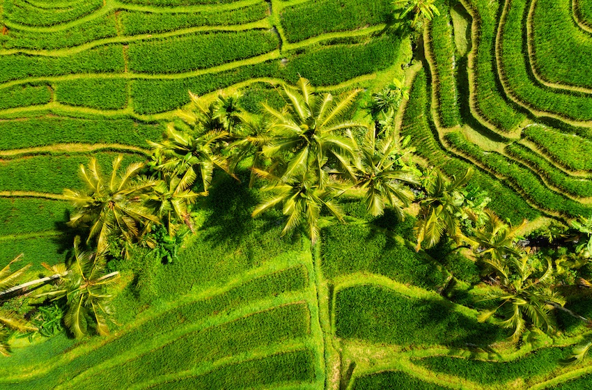 Purchase of Glencore’s Viterra Imminent for Bunge
