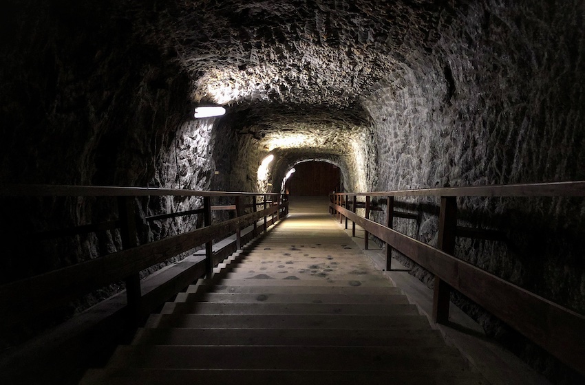 Looking Back and Moving Forward: U.K.’s NHS, Portugal Alliance, and Reflections on a Mining Tragedy